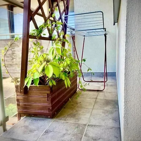 Grzegorzecka Centrum Apartmán Krakov
